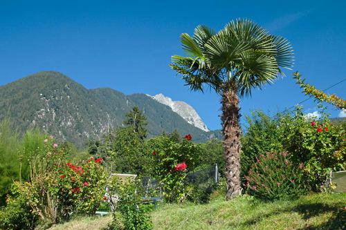 Giardino mediterraneo con vista sul monte Ivigna