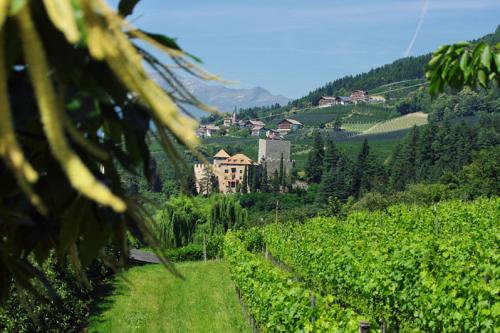 Vista panoramica su castelli e manieri - Nell’immagine il castello Goyen