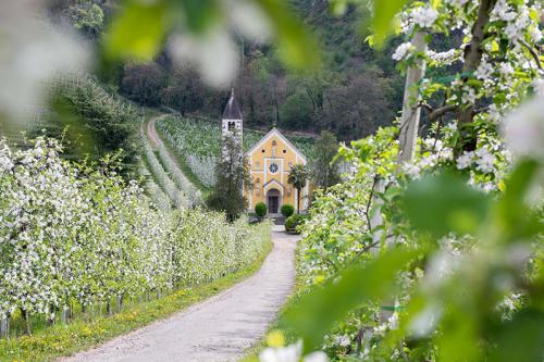 St. Valentinkirche in Meran